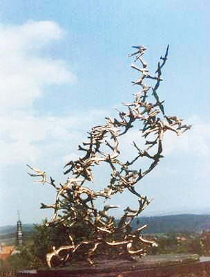 "Vogelflug"