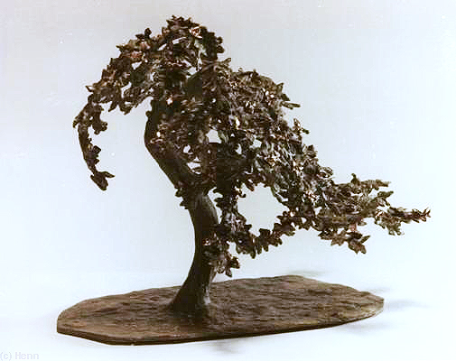 "Blühender Südseebaum"