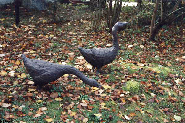 "Gänse"